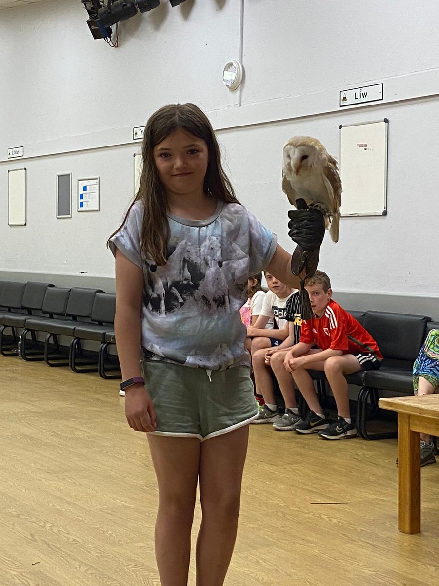 Ysgol DyffrynCledlyn tweet media