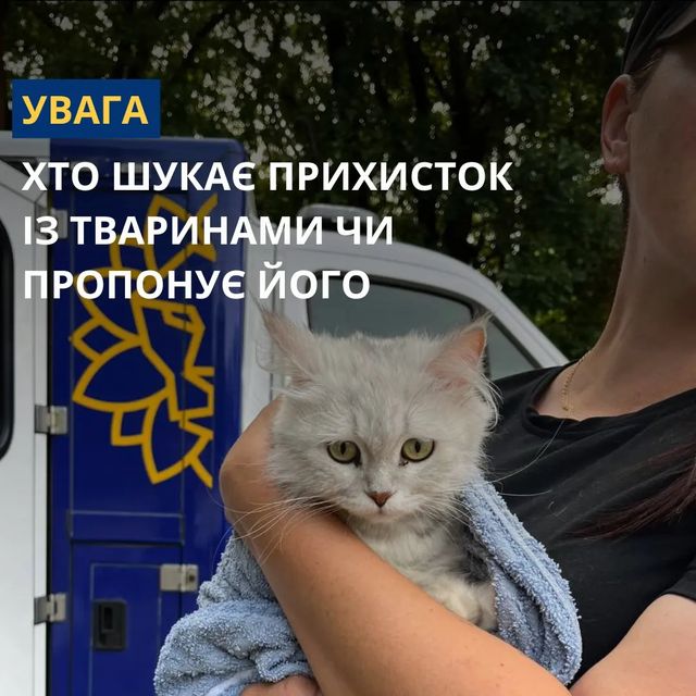 #Ukraine #Kherson #help Створюємо чат-бот 'Прихисток із твариною' для #UAnimals! 🏠🐾Як працює? Заповнюєте інформацію. Система знаходить відповідність. Отримуєте контакти для прихистку. Шукайте нас у Telegram, PrykhystyBot! Постраждалим людям та їхнім чотирилапим з Херсонщини