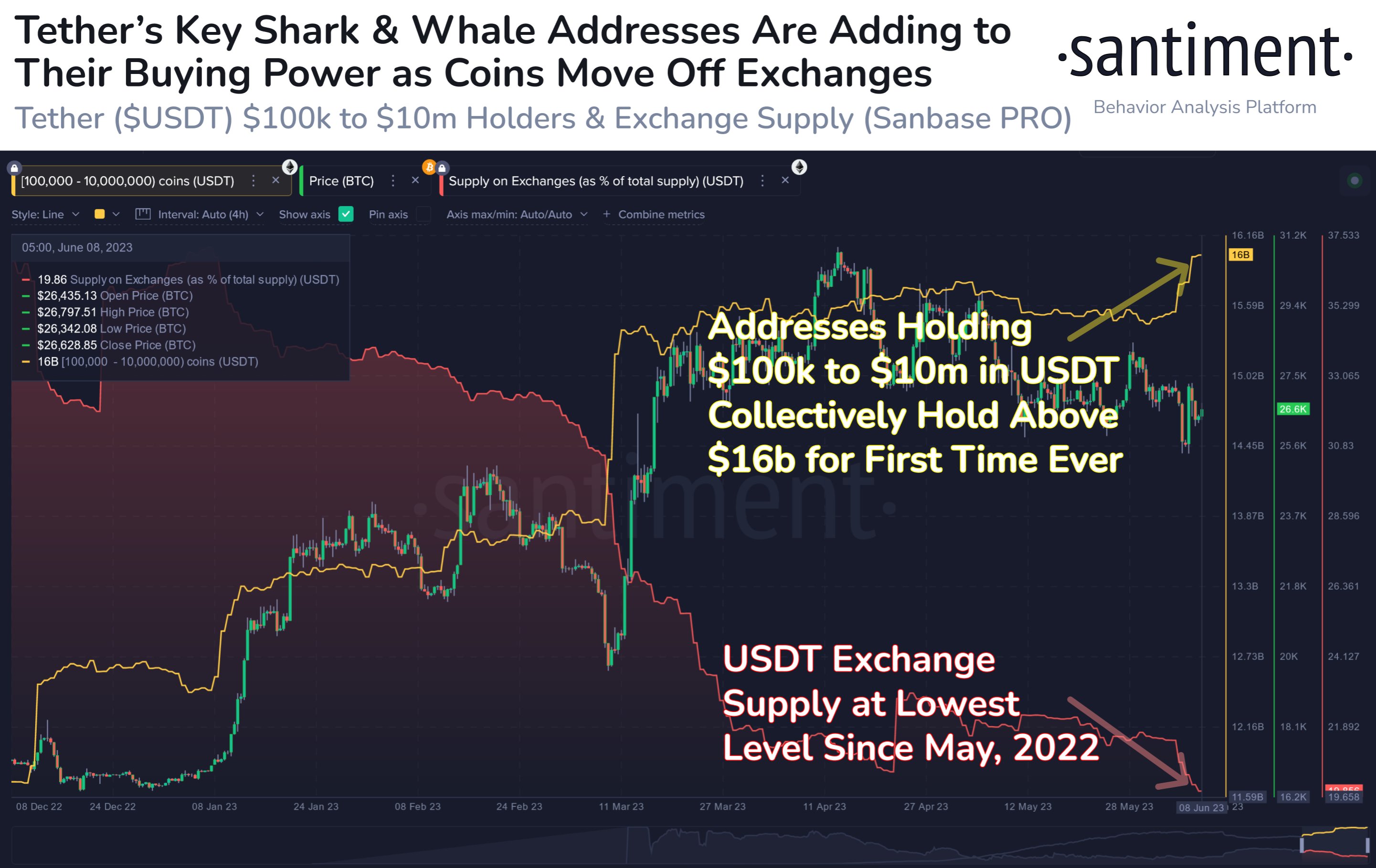  tether whales sharks usdt bitcoin on-chain holdings 