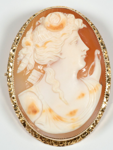 OtherJewelry's tweet photo. 1900-1910's Oval Shell Cameo Brooch/Pendant 10 Karat Yellow Gold 2" x 1 1/2" (ad eBay) https://t.co/kYaRosUoXs https://t.co/sjZitt7CXv