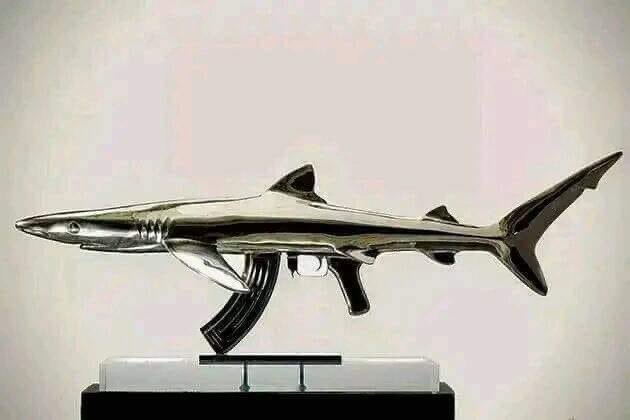 LuisfeVlogs's tweet photo. Así son las armas en Veracruz https://t.co/Rh3cJbFAro