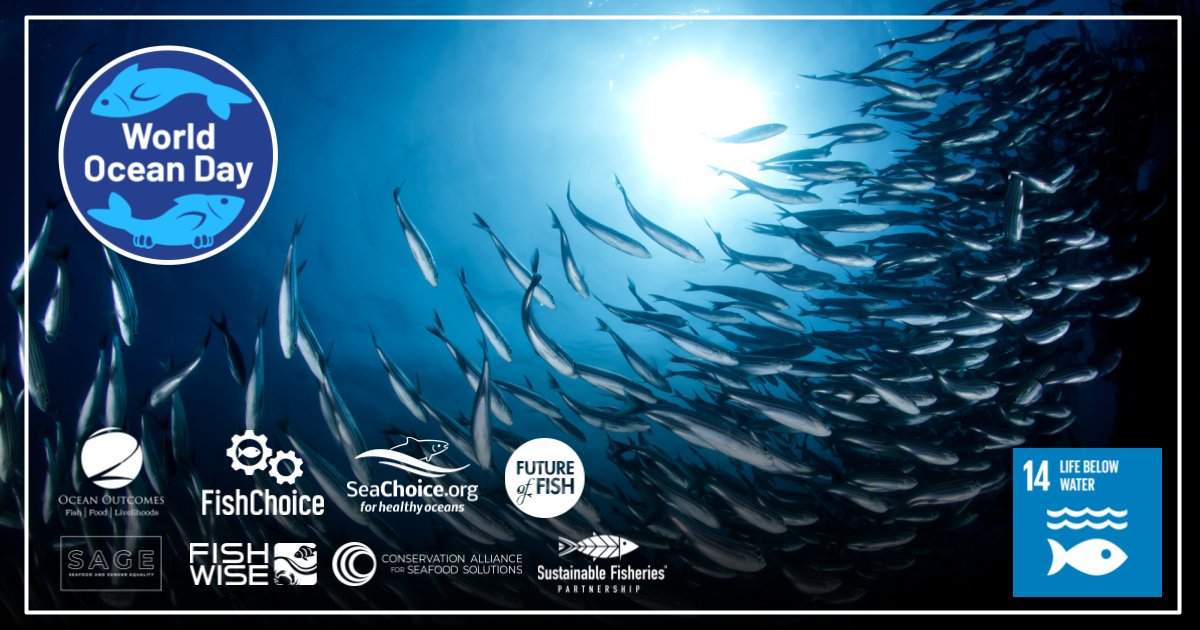 It’s #WorldOceanDay! The UN recognizes the importance of eliminating illegal &amp; destructive fishing practices in their Sustainable Development Goal #14, life below water.

Find out how SeaChoice's is working to combat these destructive practices!  seachoice.org/our-work/label…