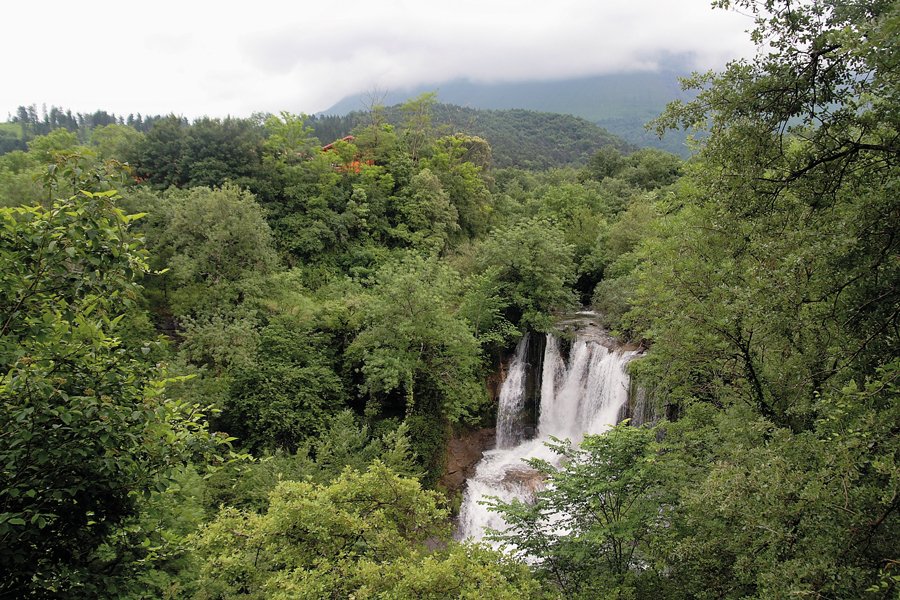 Businirmaslejos's tweet photo. ¿SELVA AMAZÓNICA?
NO, BURGOS
A primera vista parece que estemos en lo más profundo de la selva amazónica, pero en realidad nos encontramos en el Valle de Angulo, en la cascada de Peñaladros, protegida por un frondoso bosque de hayas, robles, tilos, alisos y avellanos.
#Merindades https://t.co/Xyec9VUJTU