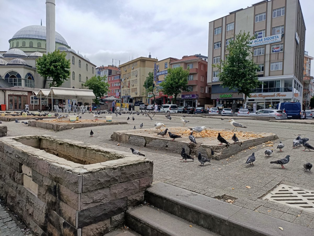 Ümraniye'nin Sonduraktaki meydanı kuşlara atılan yiyeceklerle çöp ve pislik yuvasına döndü. Umarım belediye bu meydanı Ümraniye ye yakışır bir çehreye dönüştürür.
#Ümraniye #Ümraniyebelediyesi #İsmetyıldırım #istanbul