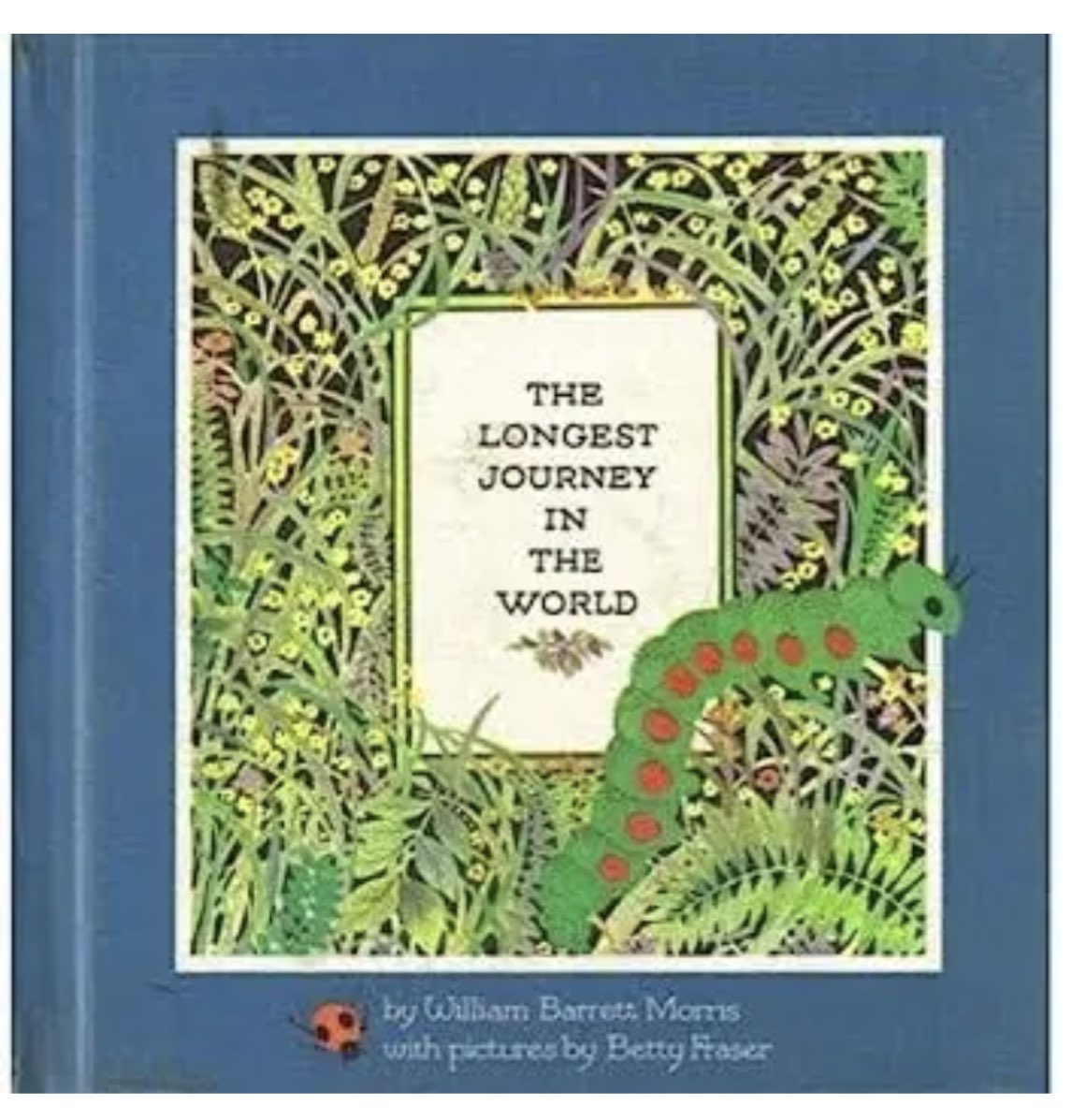 What would a caterpillar see?  We made caterpillars after reading The Longest Journey in the World and then took our caterpillars on a journey! <a href="/louisearbourfi/">Louise Arbour FI</a> <a href="/TVDSBKinder/">TVDSBKindergarten</a>