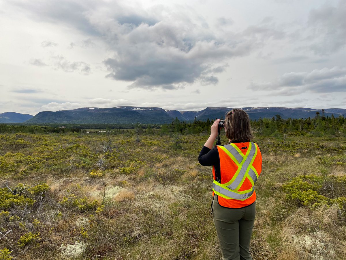 juliaball014's tweet photo. Out in the field monitoring our #CodroyValley properties ⛰️

#NCCinterns #Newfoundland @NCC_CNC @NCC_CNCMedia https://t.co/G4fFcgxxOg