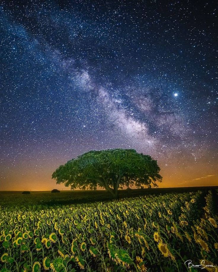 Alexa17101614's tweet image. 💫💙💫Good Night 💫💙💫