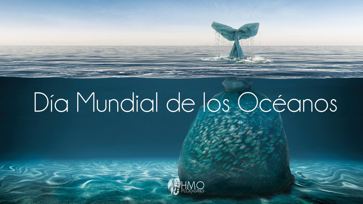 Día Mundial de los Océanos
No sigamos permitiendo ni siendo parte de su contaminación
Seamos parte de la solución 
#oceano #medioambiente #oxigeno #contaminacion #mareslimpios #plogging #hermosilloplogging