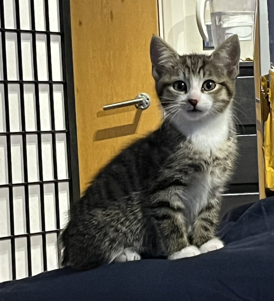 LeftPersona's tweet image. 