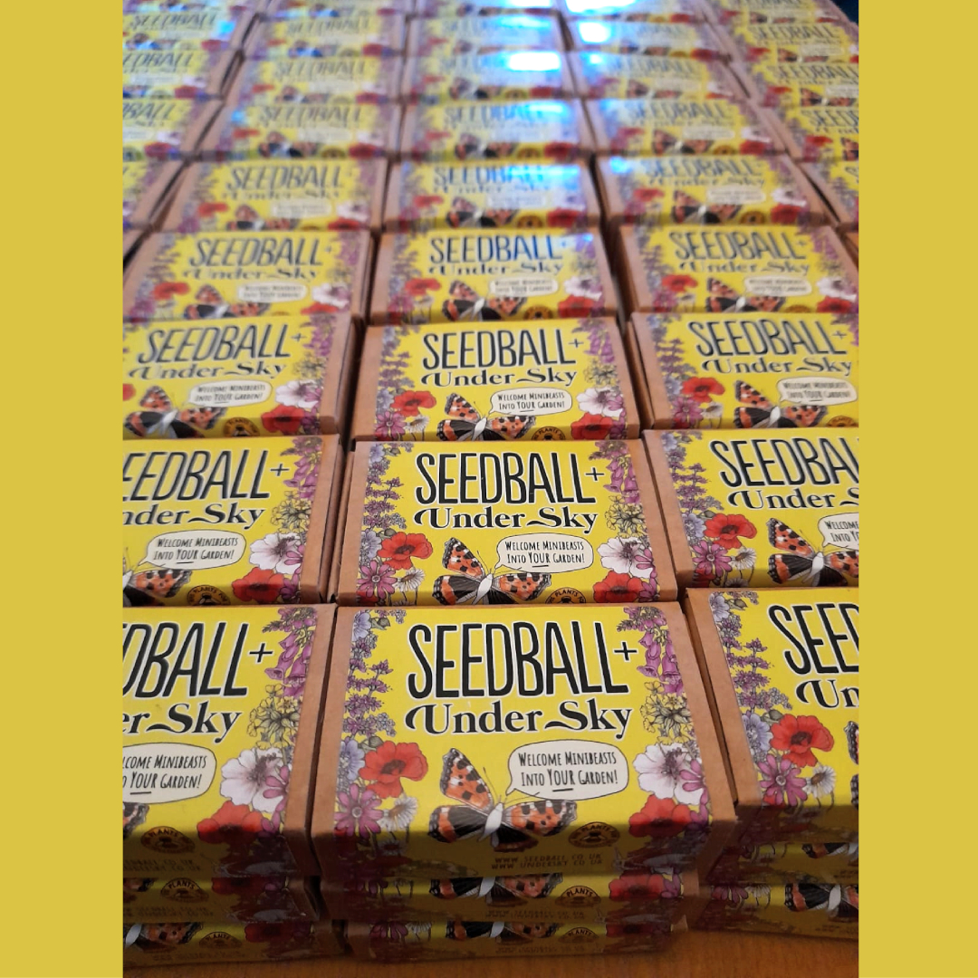 underskyplay's tweet photo. 151 @seed_ball matchboxes ready and waiting for the @IPA_world conference in Glasgow tomorrow. We're pop-up playing on Glasgow Green with school weans &amp; delegates. Delighted to gift these seedballs to all participants! Grow more #nativewildflowers: help more #nativewildlife https://t.co/Kl6cpHjklB