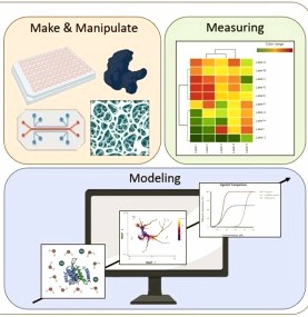 Tiago Fernandes 🇵🇹🎓🇪🇺🥼🧫 tweet media