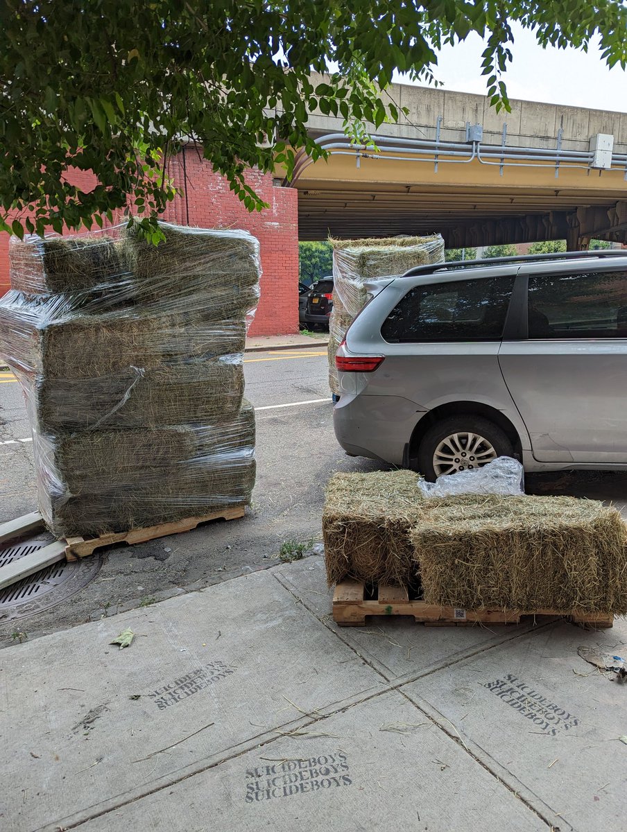 Mo Engel 🏳️🌈 tweet media