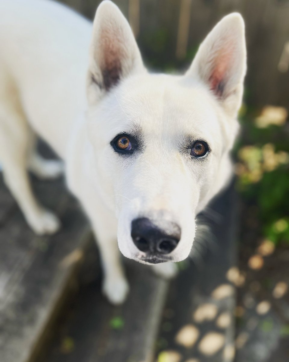 Lonnum's tweet image. We ❤️ fresh air! 

#MyOttawa
