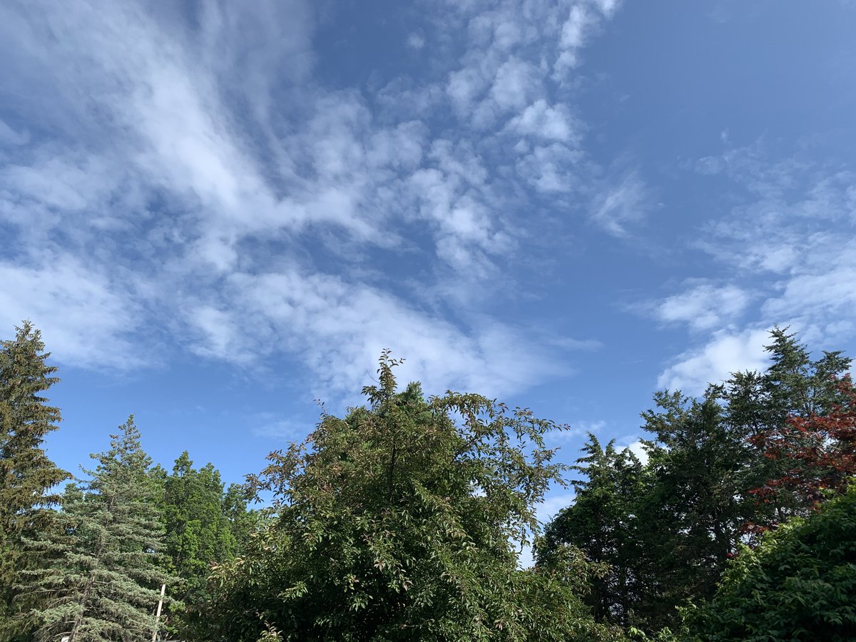 Oh the sight of the beautiful blue sky again!! 🤍🫶🏼 #nywx