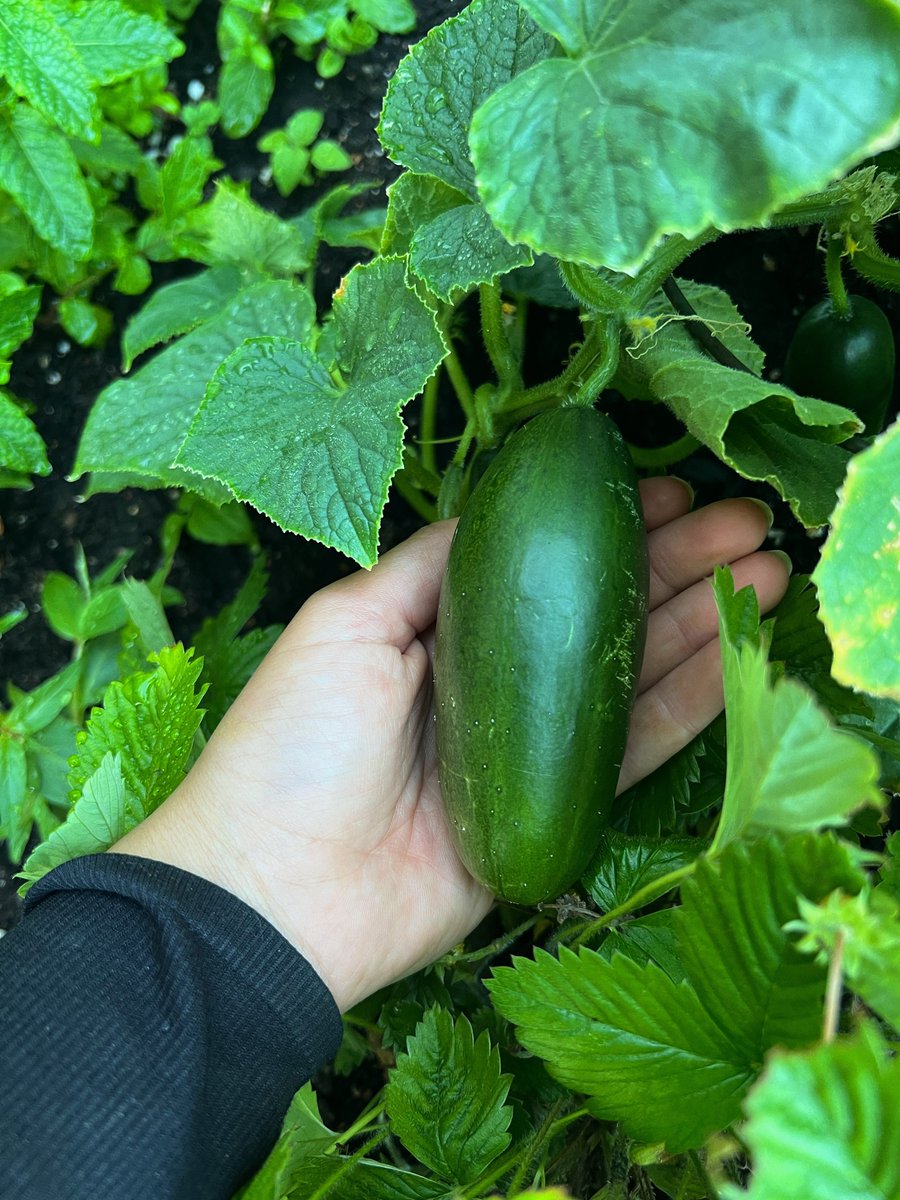 Marie Haddad tweet media