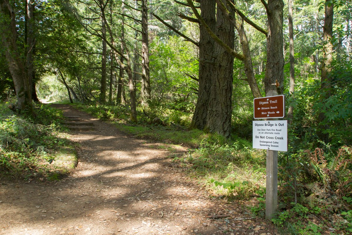 #RecreateResponsibly Don’t shortcut trails as it can harm the environment & endangers flora & fauna. 🦌Shortcuts often involve steep and unstable terrain that create risk of falls, injuries & getting lost. 🏃‍♂️🚶
Use good #TrailEtiquette.
nps.gov/articles/hikin…
📷NPS Kirke Wrench