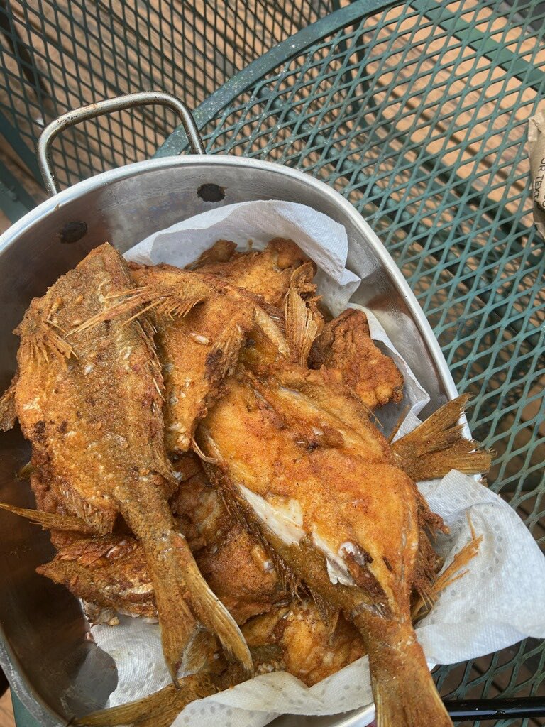 dmvfoodcritic's tweet photo. Thoughts on some more of the fish (Black Sea Bass and Porgies) I caught in Cape Cod and deep fried? dmvfoodcritic #foodcritic #friedfish #deepfried #DMV #Foodies #Foodie #fishing #fishingtrip #fishing #fish #deepfriedfish #friedfood #fried #porgies #blackseabass #massachusetts https://t.co/WxFlGgaYKk