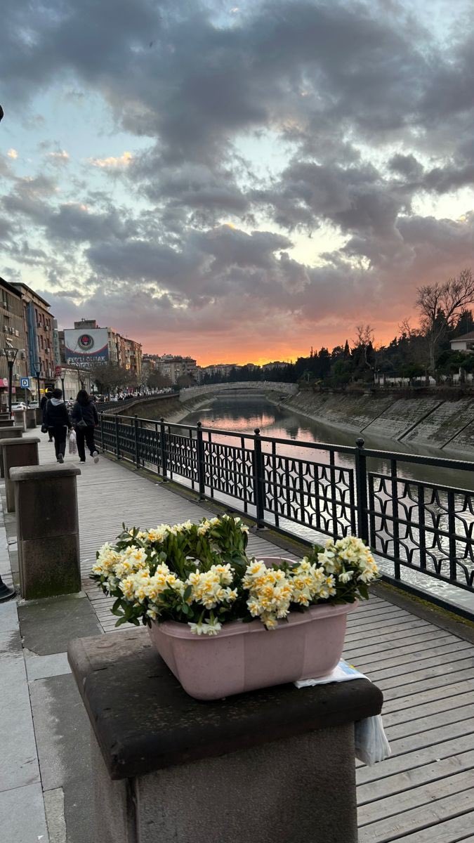 Hüznü bulutlarına gizlenmiş memleketim, kavuşur muyuz yeniden bir nergis mevsiminde?