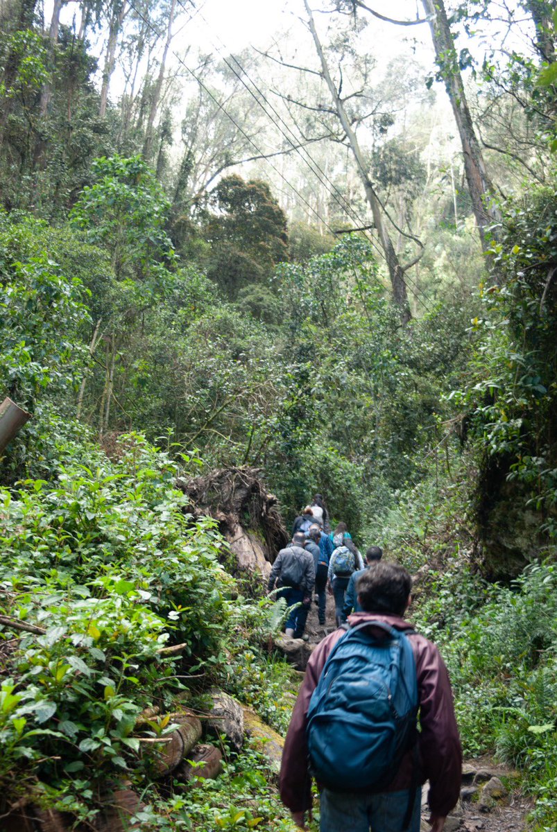 Palabra2020's tweet photo. Que lindos, amables y sanos espacios tiene Bogotá. Hoy,  Gracias a @AcueductoBogota disfrutamos un recorrido por Quebrada la Vieja. Aprendimos del uso adecuado del agua en #SemanaAmbiental2023 @nadyamrangel @Ambientebogota https://t.co/OgNerAs29Y