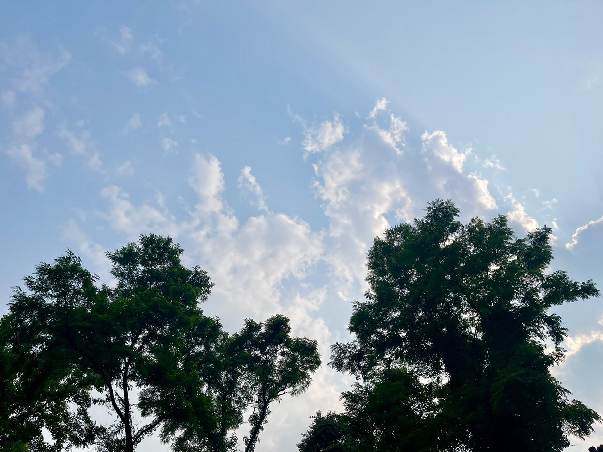 LauraRaeAmos's tweet photo. Air quality is under 200 again and I can see the real sky and clouds for what feels like the first time in days. We definitely take our clean air for granted here on the east coast, but we’re getting more and more hazy smoke sky days than I can remember happening before. https://t.co/FpIFKBe1Ua