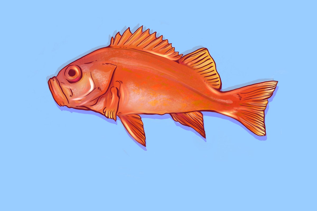 Anyone looking for a science illustrator? Was hoping to get back into #SciArt  and am taking commissions.

-- Banners/Patterns 🦠 Stylized/editorial pieces ✂️⌛️🧬  (semi)-realistic animals/plants 🦎🐠🌿 -- 

DM if interested/for rates!