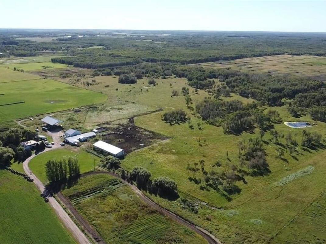 *SHEEP, CATTLE, TRANQUILITY*  BEEF FARM FOR SALE!
farmmarketer.com/listing/fm/163…

Farm Type: Beef/cattle
Acreage (Total): 26.22 
Province: Manitoba
Agent: Ed Schroeder

#Findyourdreamproperty #cdnbeef #cattlefarming #cattle #proudlycanadian #canadianbeef #farm365 #agproud #forsale