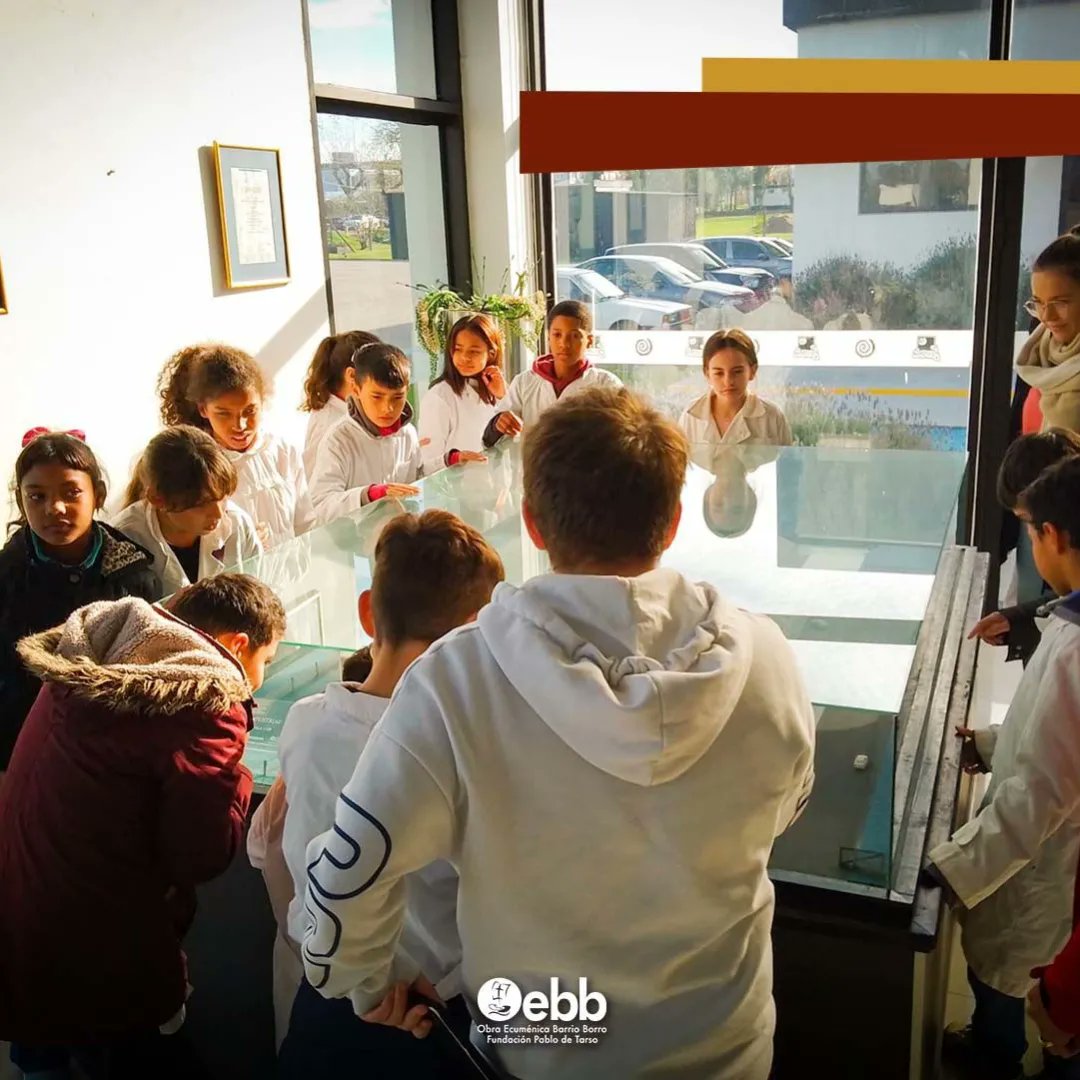 fpablodetarso's tweet photo. ¿ 𝘘𝘶é 𝘩𝘢𝘺 𝘥𝘦𝘵𝘳á𝘴 𝘥𝘦 𝘶𝘯 𝗔𝗟𝗙𝗔𝗝𝗢𝗥?

Niñas y niños del Club visitaron la planta de Punta Ballena  y pudieron conocer cada paso del proceso que hay detrás de la elaboración de los alfajores 🍫 https://t.co/oMEJKBoM8f