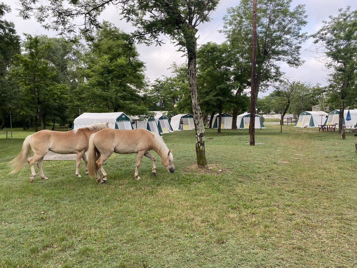 Great final fun day in the Ardèche with a visit to the caves, le Pont d’Arc and Vallon. Including some morning visitors in camp and karaoke to finish the day! 🏕️☀️🏞️