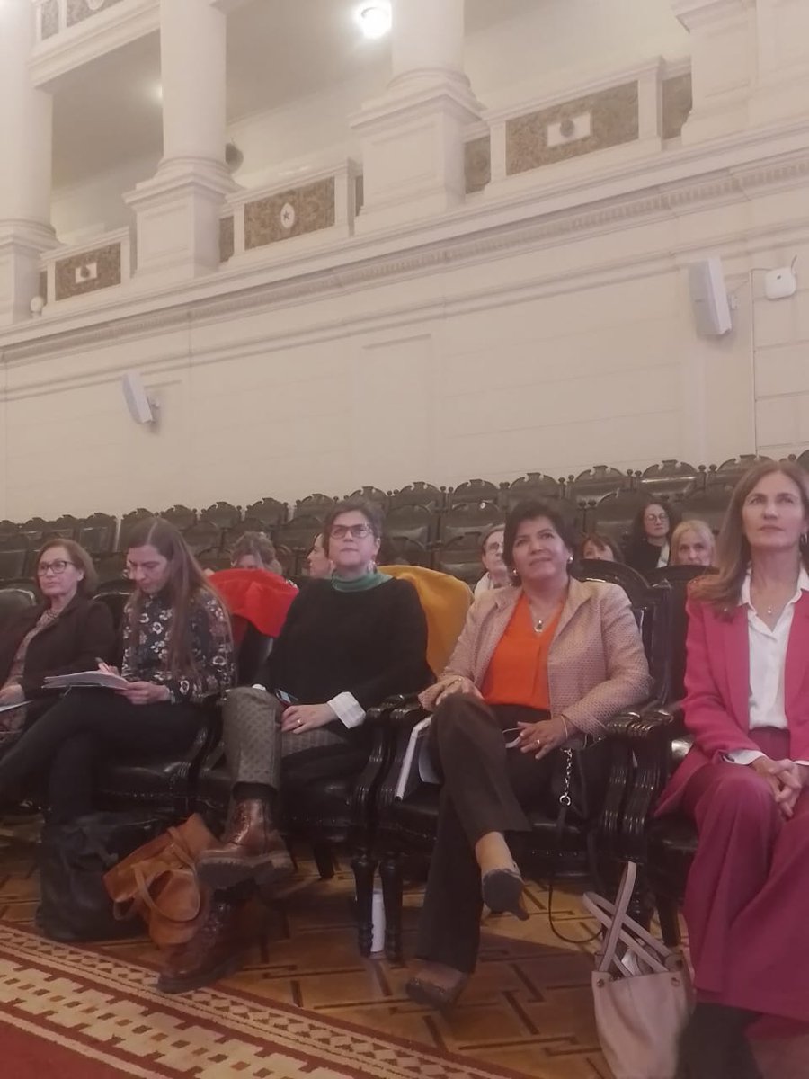 Claupascualgrau's tweet photo. Hoy estuvimos en la presentación de las Bases Para Una Constitución basada en la Democracia Paritaria del Grupo Experto Iberoamericano de OEI. Principios de igualdad, justicia, reconocimiento de la discriminación q vivimos las mujeres.
@OEIChile #IruneAguirrezabal
#LineBareiro https://t.co/uKciRvkAvm
