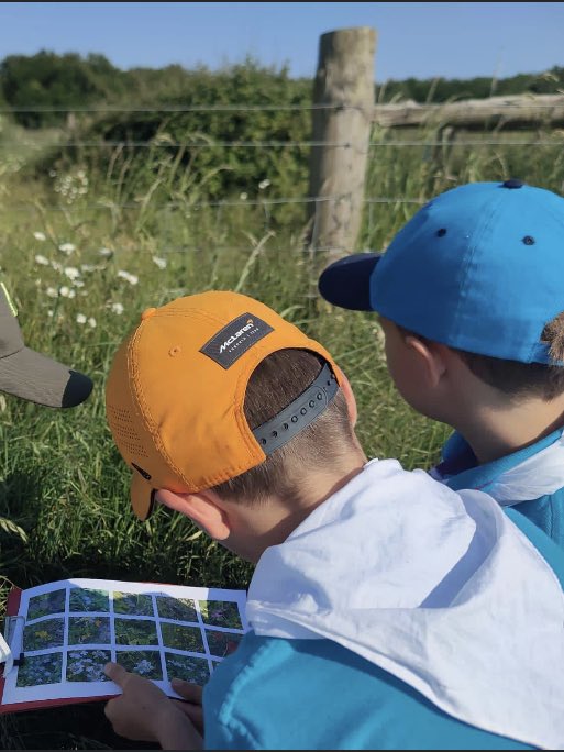 Throughout the week the Beavers have been hiking round Norbury Park searching for wildflowers enjoying the lovely evenings.