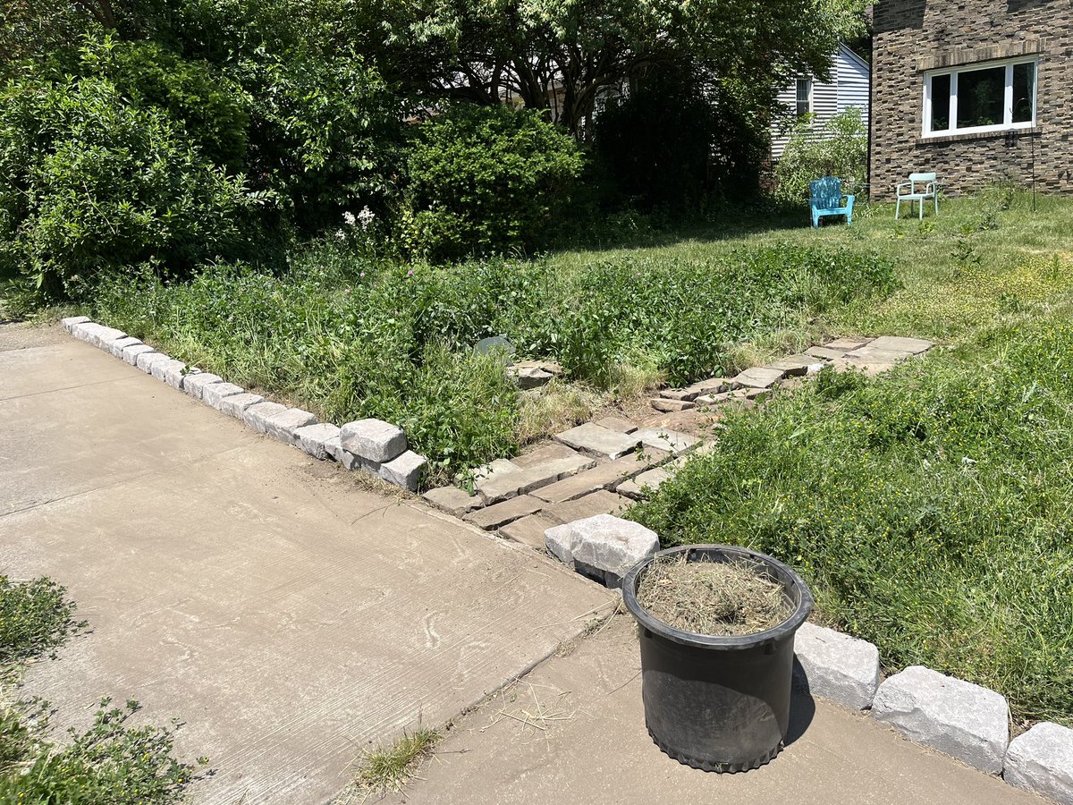 lizardvacuum's tweet photo. Going to municipal court over my hazardous clover lawn tomorrow everyone wish me luck!! 

The clover is blooming and I’m working on this wall and I simply wish the lawn nazi would leave me alone https://t.co/teEoZUs8lm