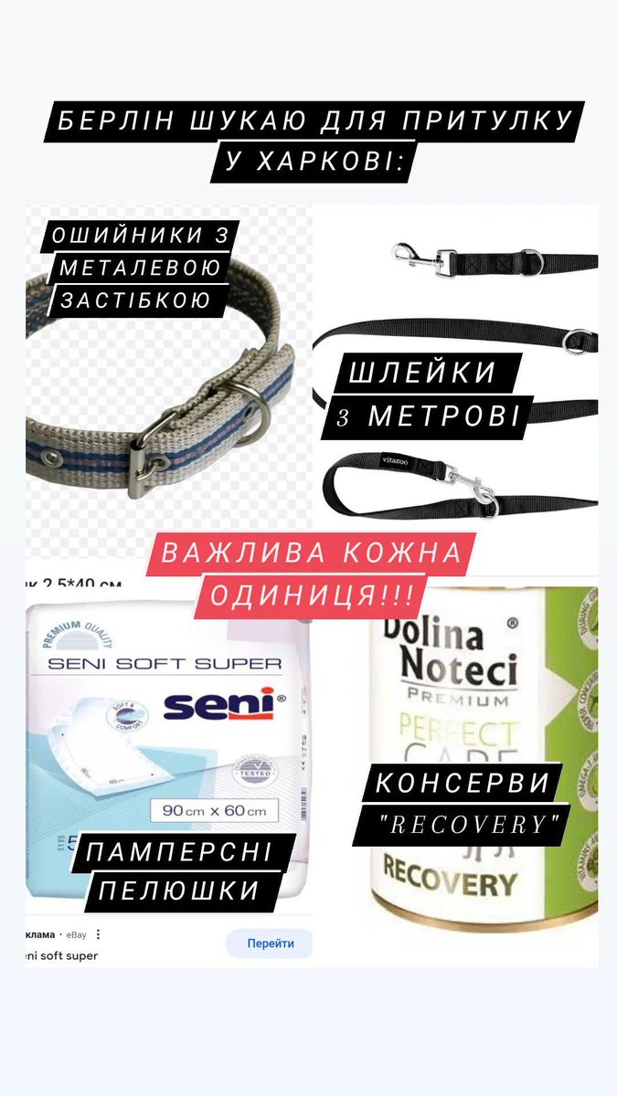 Tosha 🇺🇦 tweet media