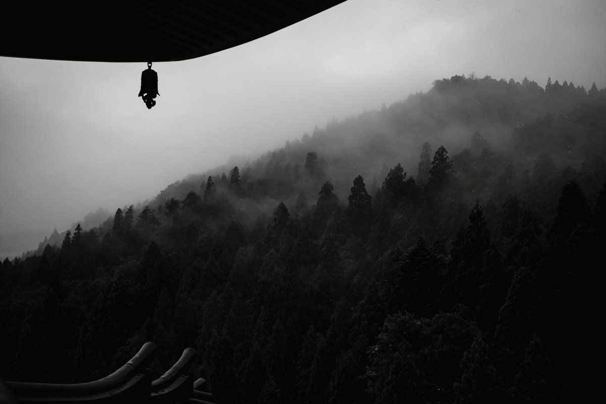 almightygenera1's tweet image. 