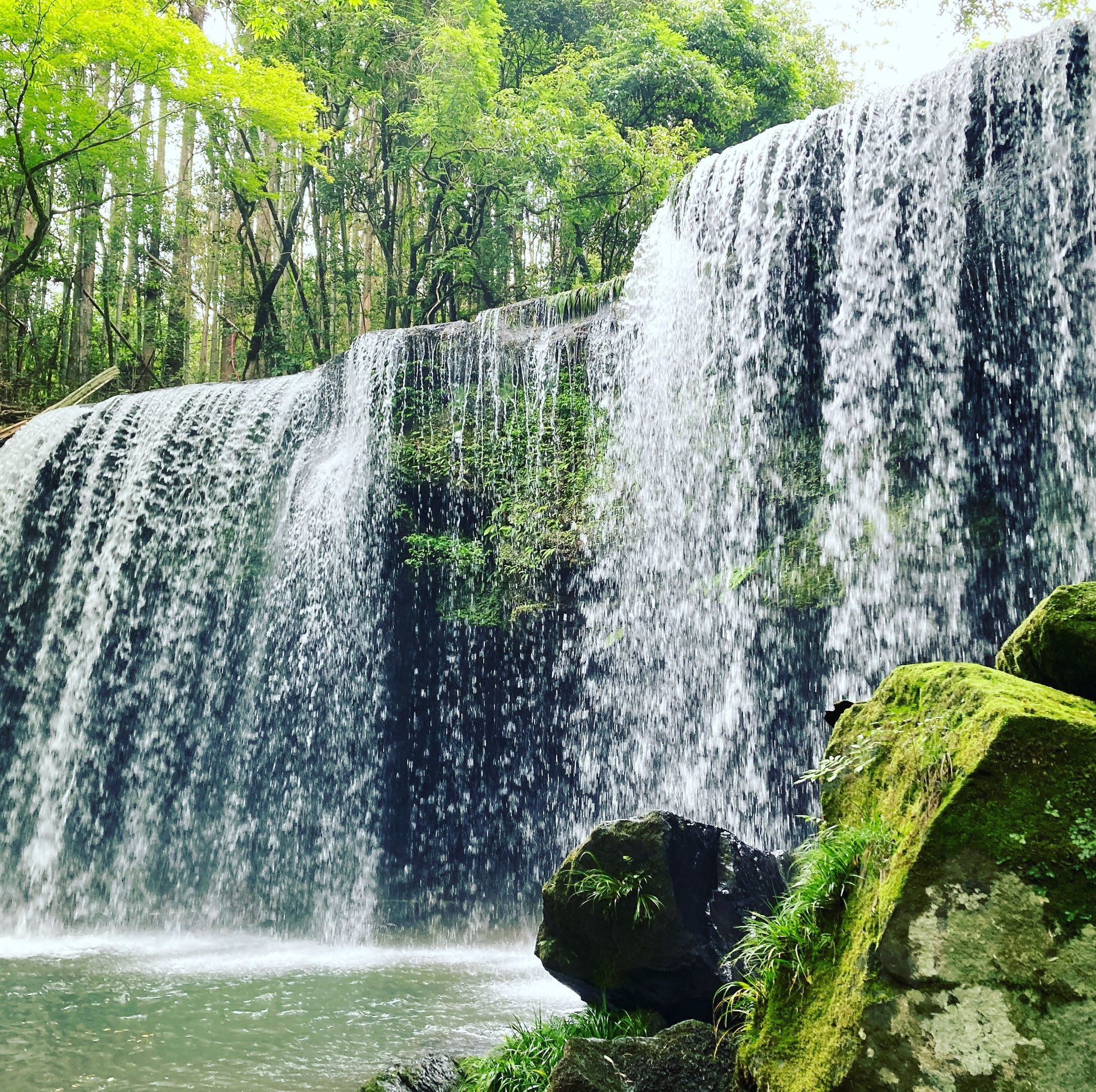 和歌山リハビリテーション専門職大学 on Twitter
