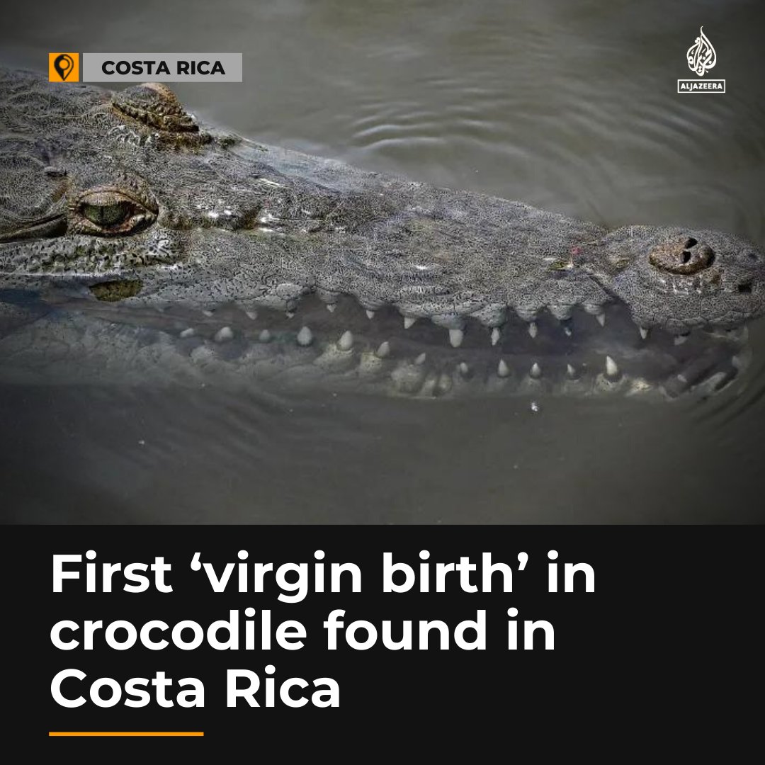 Al Jazeera English on Twitter "Scientists have documented the first