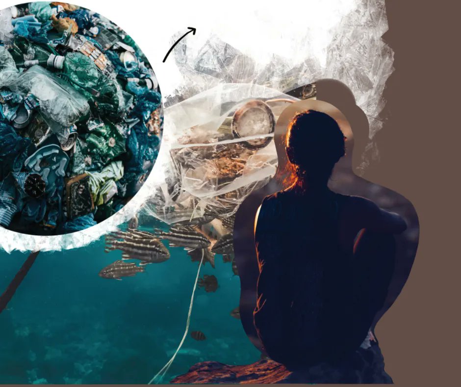 brilliant_labs's tweet photo. #WorldOceanDay is today! Let's take action to #BeatPlasticPollution and preserve our oceans! ๐ ๐ Discover how biomaking can help reduce plastics in our #Biomaking Guide : https://t.co/wwB89BP3q0
-
@stemnorth @COVE_Ocean @DFO_MAR
@Gov_NB @EducationPEI @ECC_GovNL @nseducation https://t.co/rsYmP25v8l