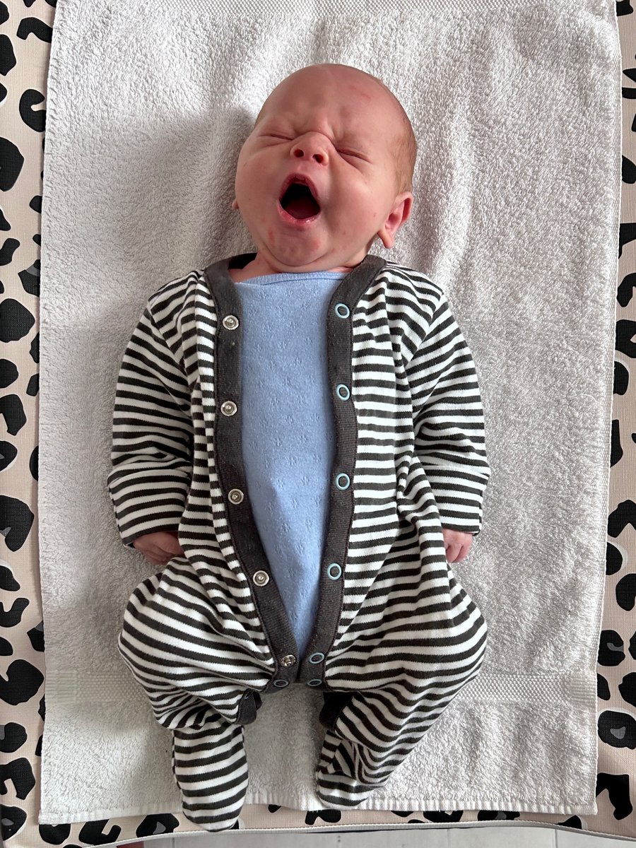 jonhillcock's tweet photo. It’s Louis! He got here on Monday morning and is small and peaceful, except for the occasional squeak. He has an extraordinary mum. https://t.co/yx7rADqxfB