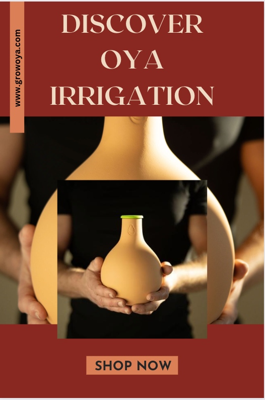 🌱 Transform your gardening game with Oyas! 🌿 Discover the ancient art of Oya irrigation and say goodbye to tedious watering routines. Plant smarter, conserve water, and watch your garden flourish. Get your Oyas today and join the sustainable gardening revolution!