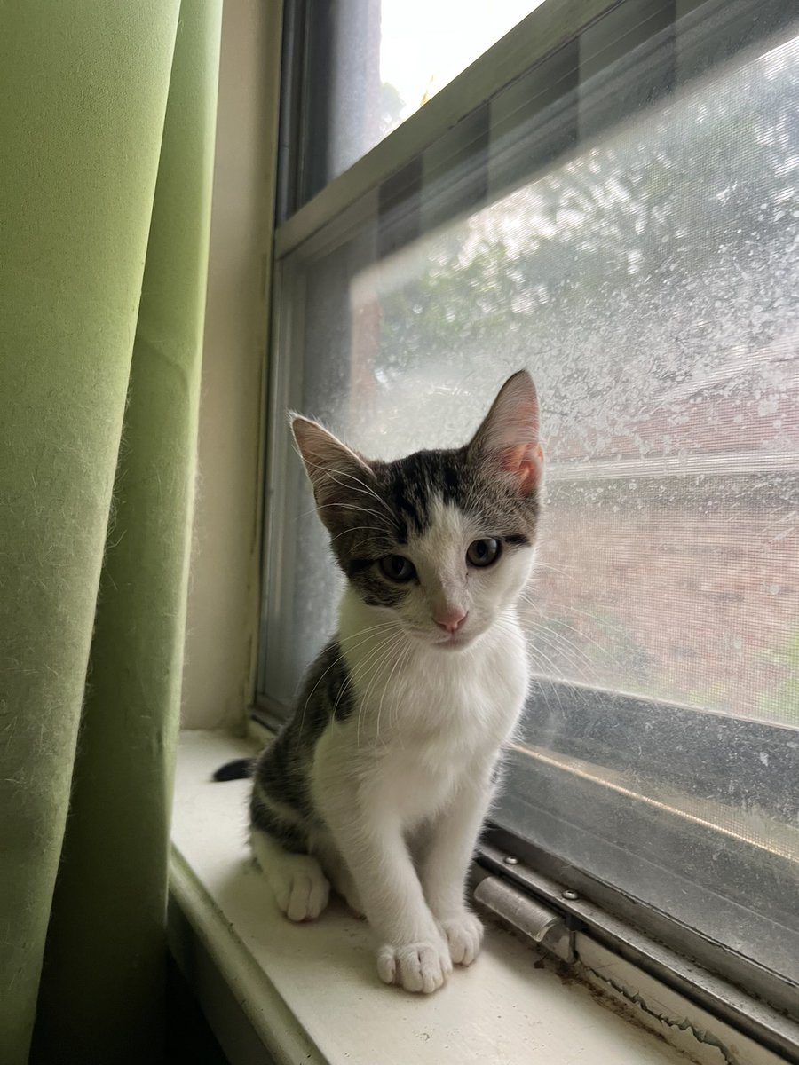3MMORAL's tweet photo. pet:                         who he’s named after: https://t.co/T1jymNUjqa
