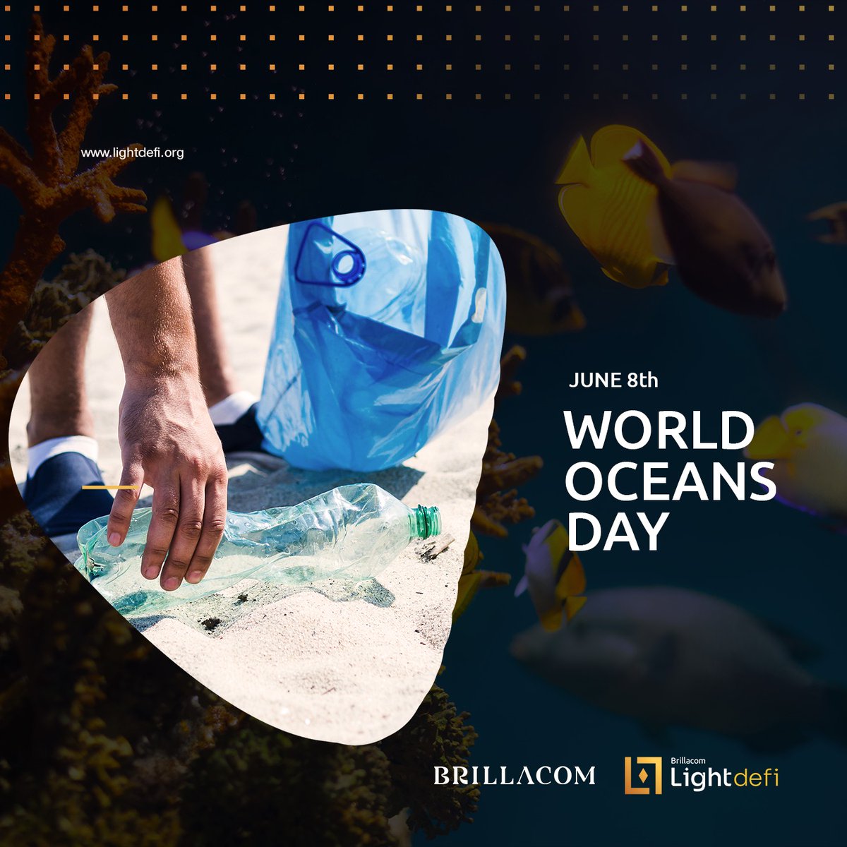 Light_DeFi's tweet photo. How was your #WorldOceanDay , we at @Light_DeFi are advancing every day towards greater sustainability on the planet. @mtbarra 
Uruguay  @brillacom_org https://t.co/GQ3Bmkv7gp