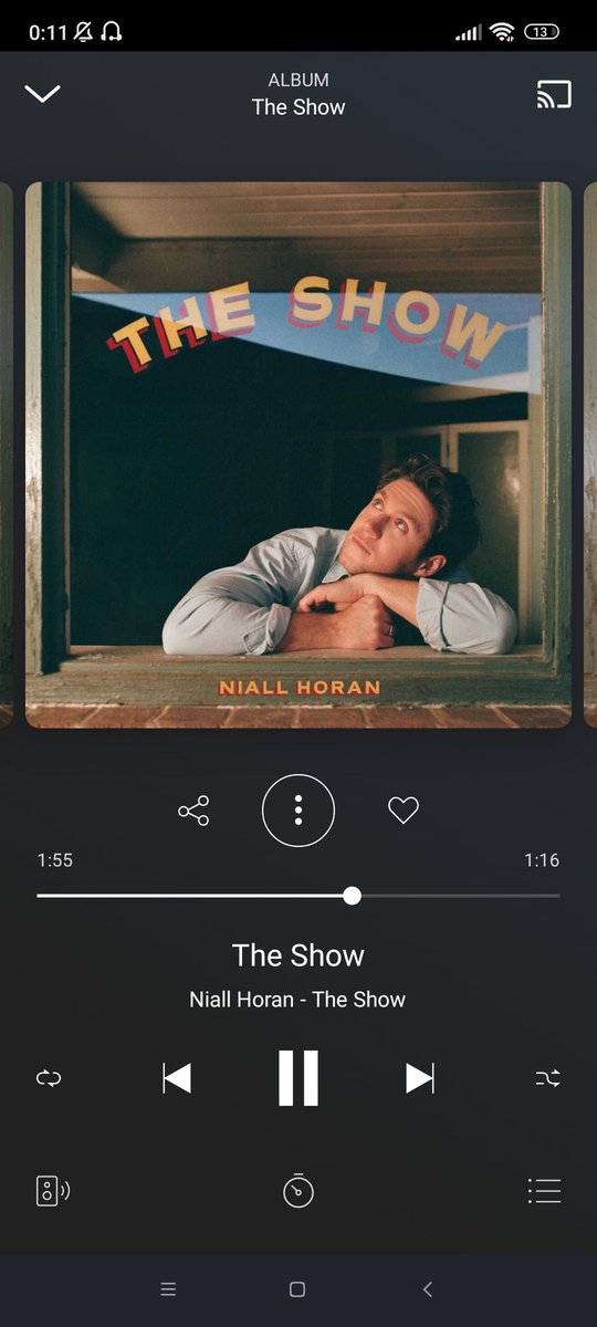 I HAVE CHILLS FOR THE SHOW ! Niall manages to pass a lot of emotions through his songs but this one....