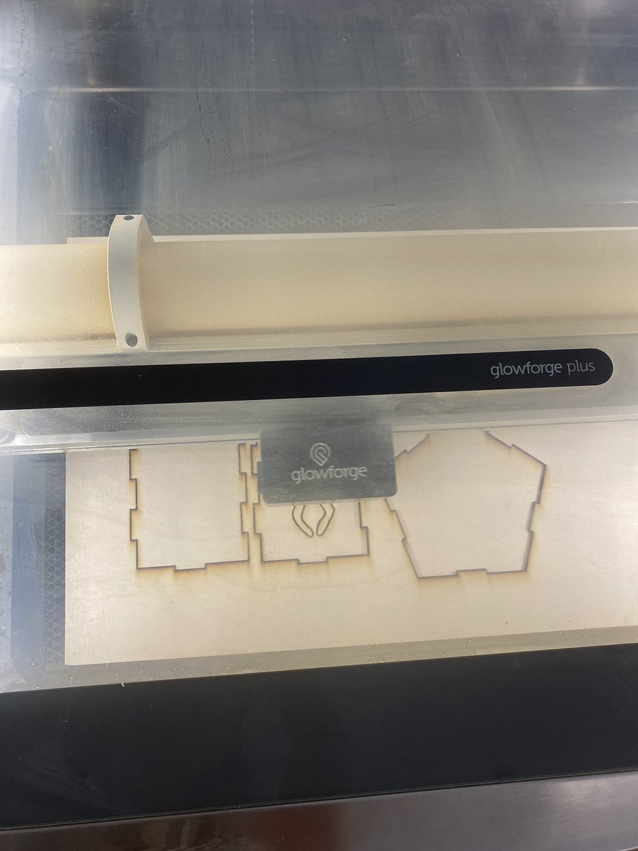 Stephanie Elgin tweet media