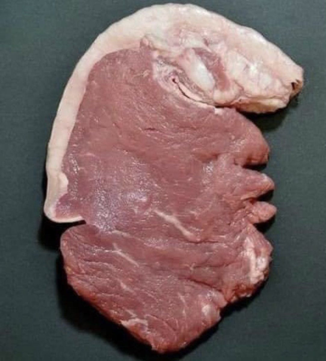 JusteSteve's tweet image. Gazouillez une photo aléatoire de votre téléphone sans explication.