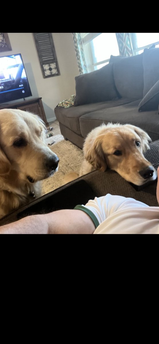 5pm is dinner time. They never let me forget.