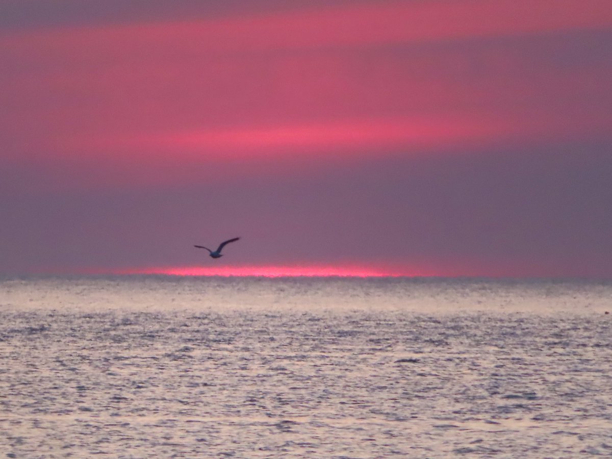 wildswimmer67's tweet photo. Sunset shades of Carrickfinn in #DonegallabouttheLight #ireland #donegal #sunset #sunsets #rteweather @welovedonegal @DonegalWeatherC #irishsunset @CloudAppSoc @GoToIreland @TourismIreland @CanonUKandIE #irishpost #idonegal #donegallive https://t.co/SZcXOsfWqL