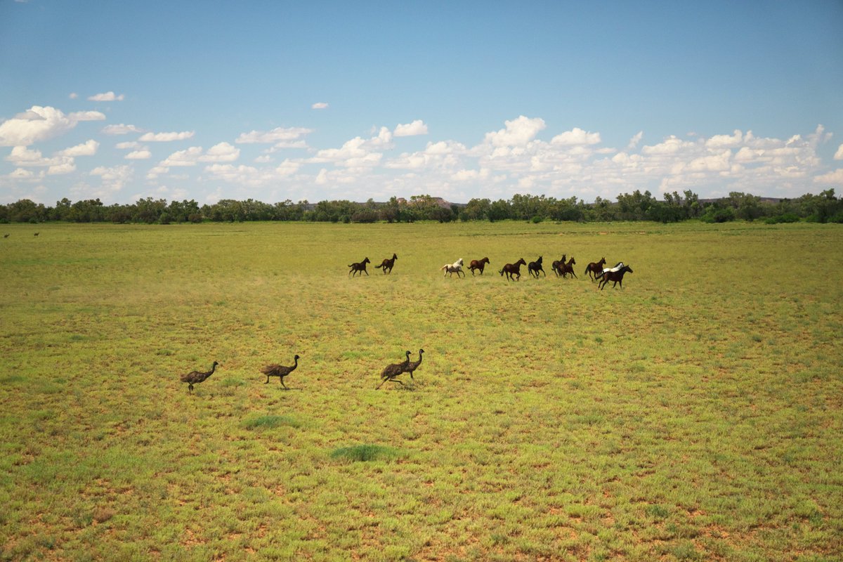 <a href="/AdamCoffeyNT/">Adam Coffey</a> <a href="/LizWebsterSBF/">Liz Webster</a> Pictures tell the story.