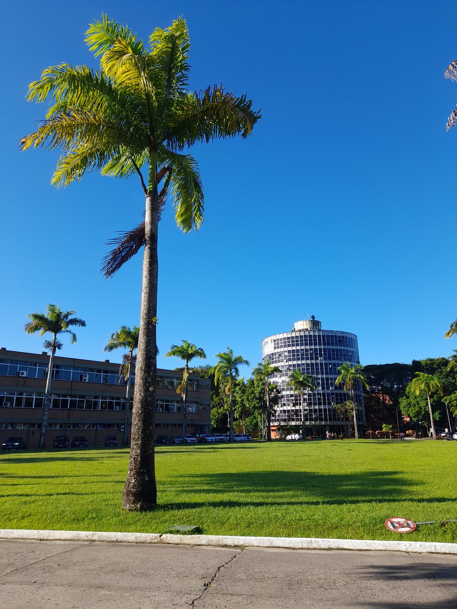 lrislst's tweet image. do brasil eu n sei mas da bahia é a uesc e nem é pq eu sou de la, é por questão de senso msm