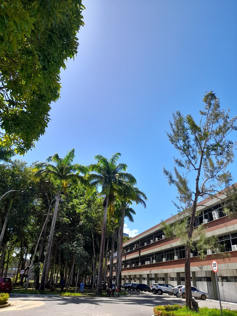 lrislst's tweet image. do brasil eu n sei mas da bahia é a uesc e nem é pq eu sou de la, é por questão de senso msm