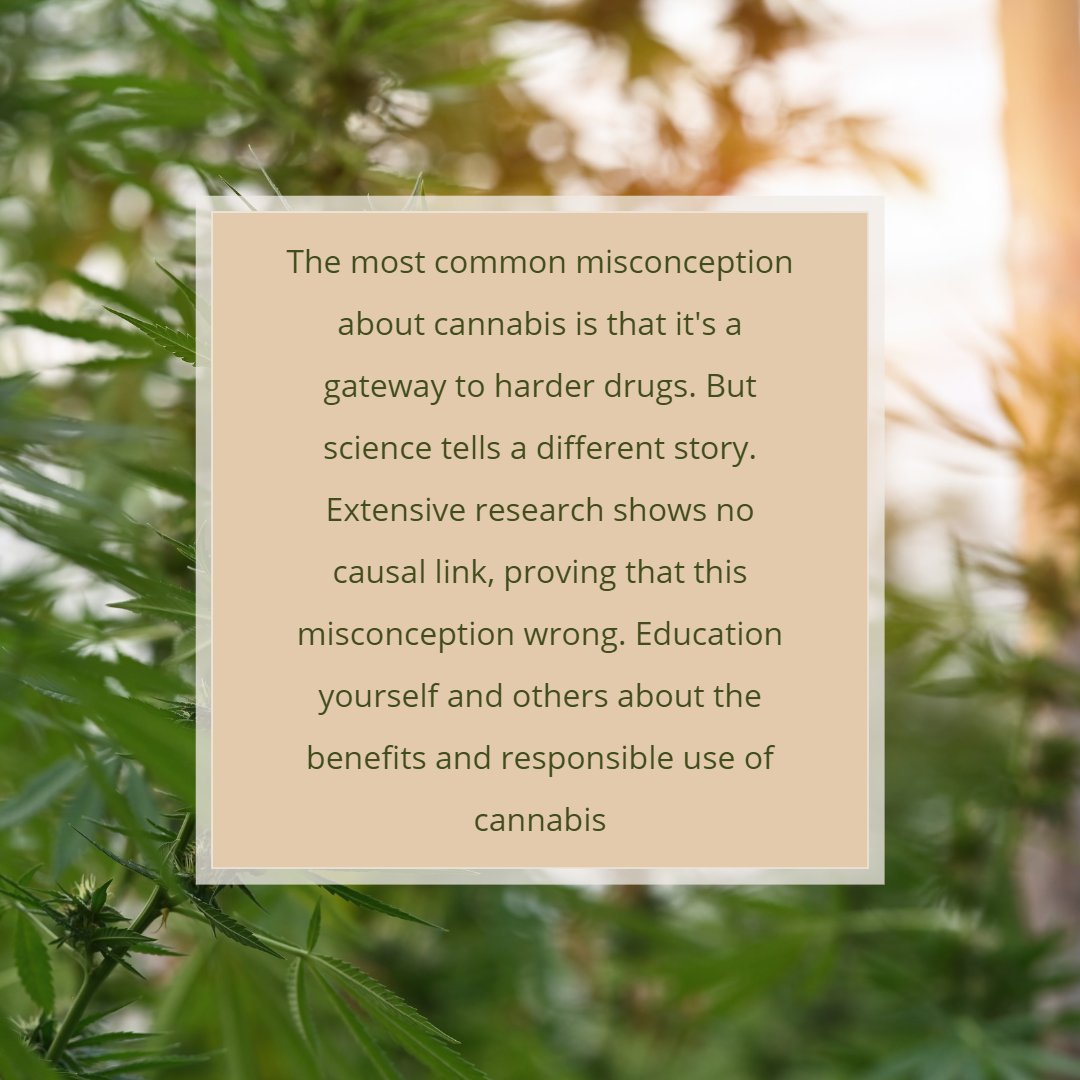 Education erases stigma
#maitrimeds #education #holisticwellness #plantbasedhealth #cannabiscommunity #cannabisindustry