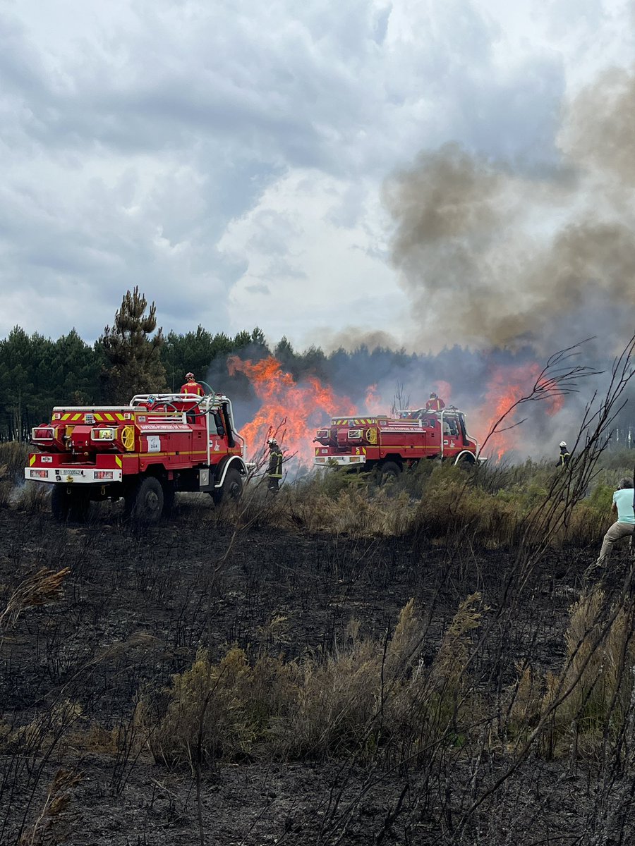 TRANCHE Fred tweet media